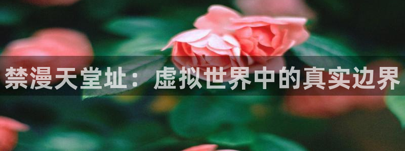 omofun 动漫在线观看免费全集：禁漫天堂址：虚拟世界中的真实边界