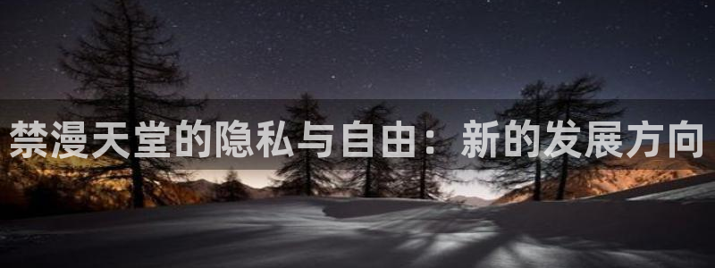 omofun动漫官网下载：禁漫天堂的隐私与自由：新的发展方向