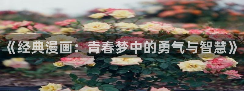 omofun动漫共和国下载：《经典漫画：青春梦中的勇气与智慧》