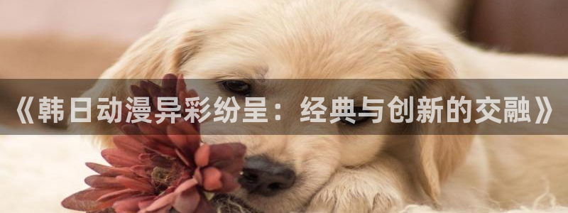 omofun在线观看免费动漫：《韩日动漫异彩纷呈：经典与创新的交融》
