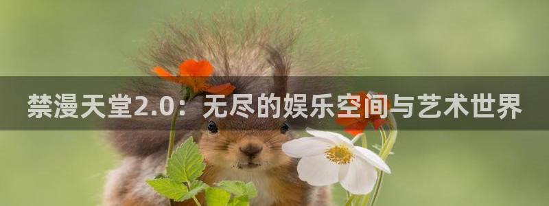 omofun动漫官方下载：禁漫天堂2.0：无尽的娱乐空间与艺术世界