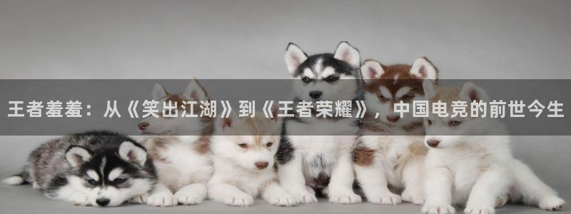 omofunpc：王者羞羞：从《笑出江湖》到《王者荣耀》，中国电竞的前世今生