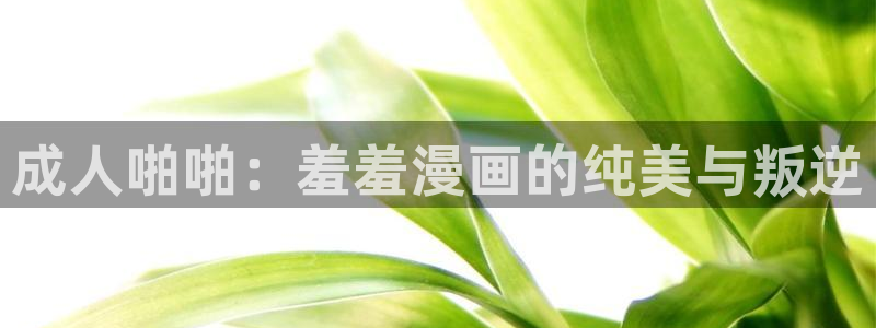 age动漫入口安卓
