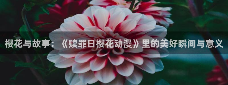 age动漫正版下载入口：樱花与故事：《赎罪日樱花动漫》里的美好瞬间与意义
