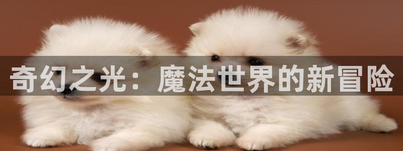 omofun\\：奇幻之光：魔法世界的新冒险