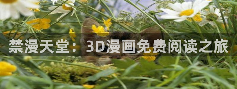 omofun.com：禁漫天堂：3D漫画免费阅读之旅