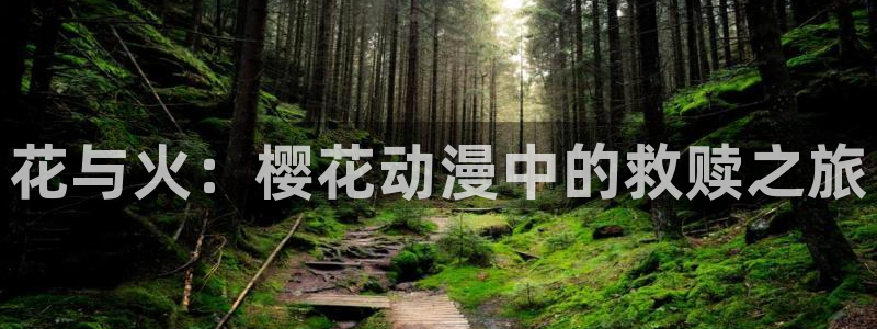 omofun 动漫：花与火：樱花动漫中的救赎之旅