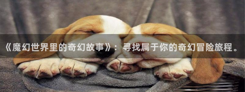 age动漫网址：《魔幻世界里的奇幻故事》：寻找属于你的奇幻冒险旅程。
