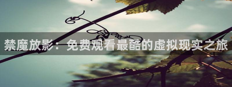 omofun动漫官网在线看：禁魔放影：免费观看最酷的虚拟现实之旅