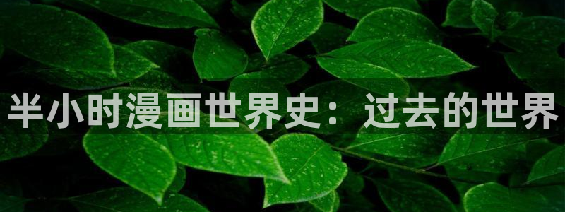 omofun正版下载：半小时漫画世界史：过去的世界